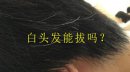 拔一根白頭發真的會長十根嗎，沒有理論根據