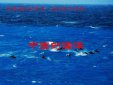 中國的四大海是哪四個，分別是渤海、黃海、東海、南海