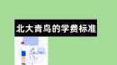 北大青鳥一般學費多少，所有專業的一年學費平均是11800