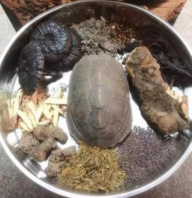龜苓膏是烏龜做的嗎，以烏龜殼和土茯苓作為主要原料制成