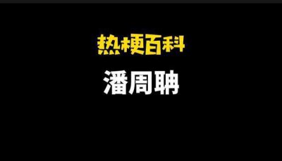 潘周聃是什么梗，作業救星潘周聃是什么意思