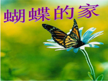 蝴蝶的家到底在哪里，沒有固定的地方.會不停尋找棲息點